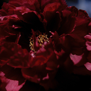 国产抖音走光视频
