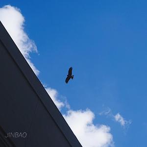 国产抖音走光视频
